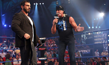 Austin Aries Hulk Hogan