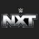 wwe nxt logo 2024