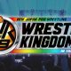 njpw wrestle kingdom 19