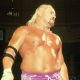 kevin sullivan catcheur