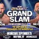 aew grand slam 2024 bryan mcguinness