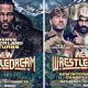 TV/Streaming : Comment regarder AEW WrestleDream 2024 en direct en France ?