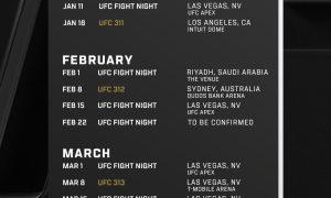 UFC : Calendrier des Événements Prévu pour le Début de 2025